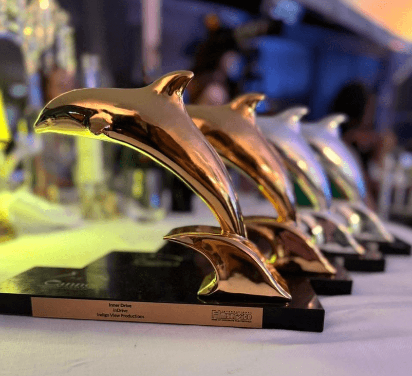 Inner Drive wins Dolphins at Cannes!