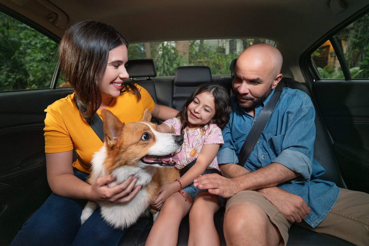 Movilidad pet friendly en Panamá: claves para viajes responsables con tus mascotas